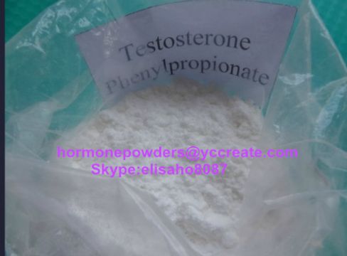 Testosterone Phenylpropionate